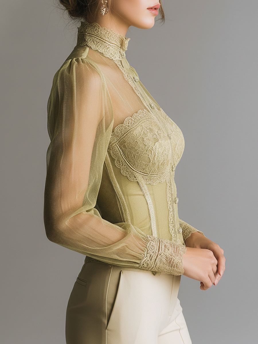 Romantic Mesh And Lace-trimmed Bustier-style Blouse